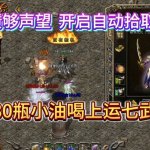 ��Ѫ�����ֻ����Զ�ʰȡ���ý̳����޷��Զ������Ų��޸�ȫ����