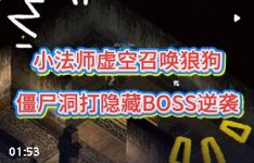 ���淨ʦ�ٻ������뵶�������ص㣺�ջ�֮���÷���������λ�á������������